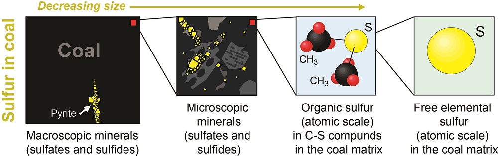 Sulfur is distributed in several different forms and scales in coal.